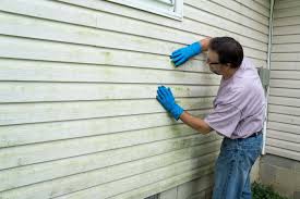 Best Vinyl Siding Installation  in Katy, TX